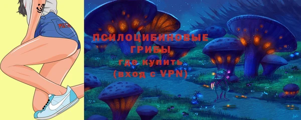индика Осинники