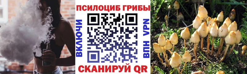 OMG рабочий сайт  Североуральск  Галлюциногенные грибы мухоморы 