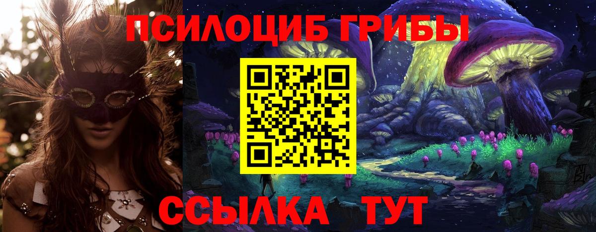 наркотики  Псилоцибиновые грибы GOLDEN TEACHER  Вход с VPN  Североуральск  Галлюциногенные грибы MAGIC MUSHROOMS 