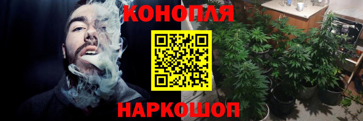 Бошки Шишки планчик  Вход с VPN  Североуральск  Марихуана план  Шишки марихуана Bruce Banner 